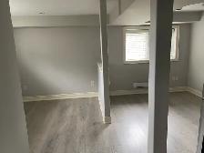 NEWLY RENOVATED, OPEN CONCEPT BACHELOR BASEMENT APARTMENT - Photo 3