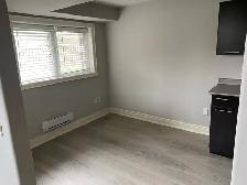NEWLY RENOVATED, OPEN CONCEPT BACHELOR BASEMENT APARTMENT - Photo 4