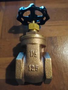 TYT 1-1/2' Brass Gate Valve