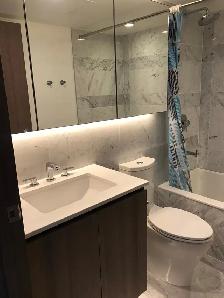 1 bed den for rent in downtown Toronto - Photo 5