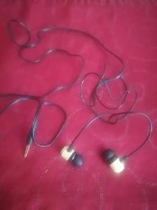 Earphones with case