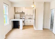 Freshly renovated 1 Bed/1 Bath - Photo 2