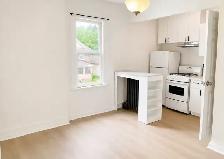 Freshly renovated 1 Bed/1 Bath - Photo 4