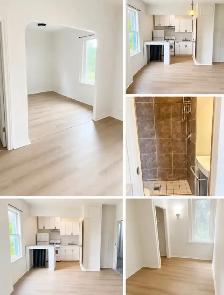 Freshly renovated 1 Bed/1 Bath - Photo 6