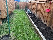 backyard cleanup - Photo 2