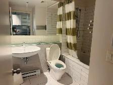 Furnished 3 1/2 Condo in the heart of downtown Montreal - Photo 6
