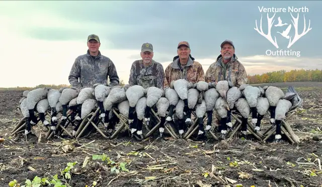 Guided Goose & Duck hunting