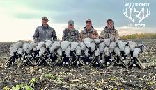 Guided Goose & Duck hunting