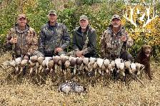 Guided Goose & Duck hunting - Photo 5