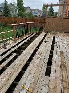 Deck, Fence & Shed Renovator and Painter - Photo 4