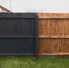 Deck, Fence & Shed Renovator and Painter - Photo 7