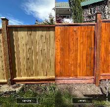 Deck, Fence & Shed Renovator and Painter - Photo 9