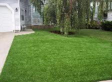 Landscaper, Paving Stones, Artificial Turf, Sod - Photo 6