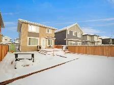 For Rent - Beautiful Family Home in Trumpeter, Edmonton - Photo 3
