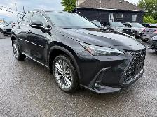 2023 Lexus NX 350h Luxury - Photo 3