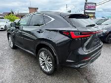 2023 Lexus NX 350h Luxury - Photo 4