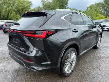 2023 Lexus NX 350h Luxury - Photo 6