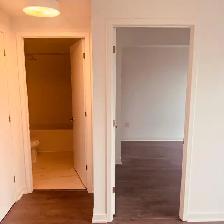 Brand New One Bedroom Apartment for Rent - Photo 7