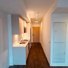 Brand New One Bedroom Apartment for Rent - Photo 9