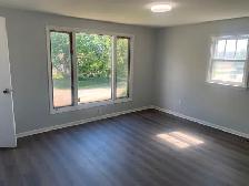 Beautiful, renovated 2 to 3 bedroom upper duplex - Photo 3