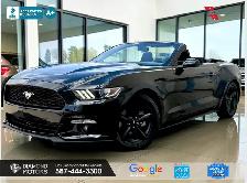 2016 Ford Mustang 2dr Conv V6 - Just Arrived