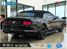 2016 Ford Mustang 2dr Conv V6 - Just Arrived - Photo 5