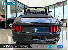 2016 Ford Mustang 2dr Conv V6 - Just Arrived - Photo 6