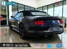 2016 Ford Mustang 2dr Conv V6 - Just Arrived - Photo 7