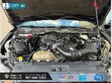 2016 Ford Mustang 2dr Conv V6 - Just Arrived - Photo 10