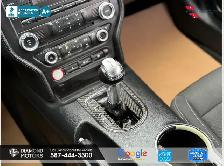 2016 Ford Mustang 2dr Conv V6 - Just Arrived - Photo 14