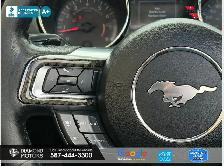 2016 Ford Mustang 2dr Conv V6 - Just Arrived - Photo 16