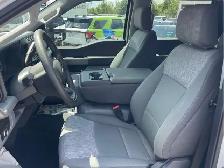 2024 Ford Super Duty F-250 SRW XLT | 4WD | 7.3L Gas - Photo 5