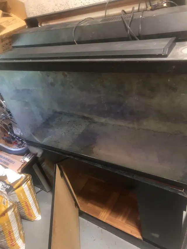 Fish Tank and Cabinet