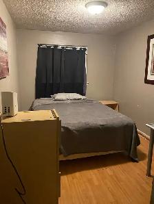 Shared Accommodation - No Lease - Scarborough - Photo 6
