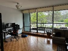 1 Bedroom condo, 135 Antibes drive - Photo 3