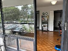 1 Bedroom condo, 135 Antibes drive - Photo 9