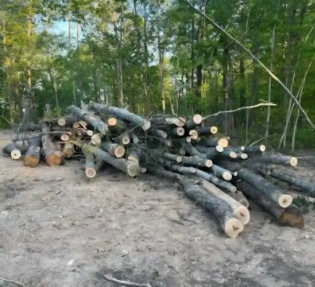 Drop off logs  for free