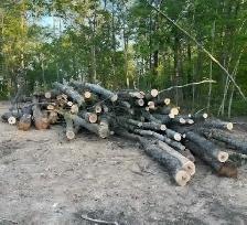 Drop off logs  for free