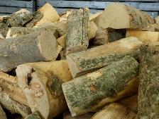 Drop off logs  for free - Photo 4