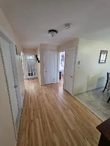 5 1/2 éclairé rez-de-chaussée - Triplex à Saint-Hubert/Longueuil - Photo 8