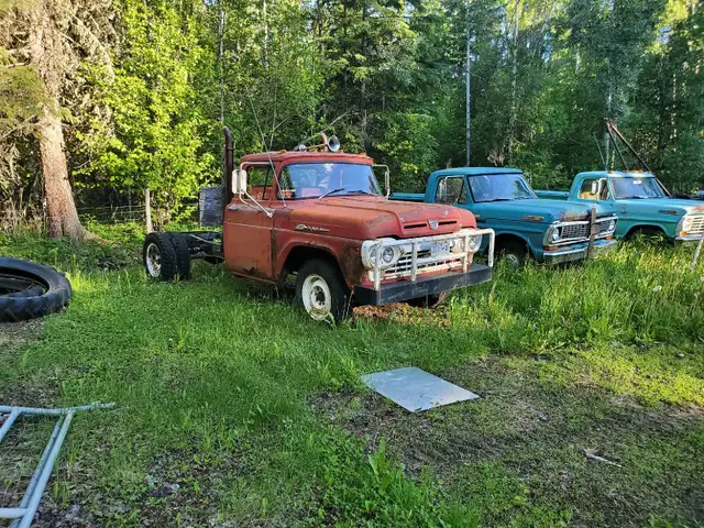 Old Ford Trucks