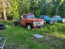 Old Ford Trucks