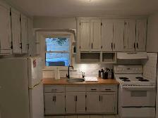 2 Bed Plus Den 16 minutes by Bus to Laurier - Photo 3
