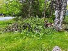 Trailer/Bin Rentals & Same Day Junk/Garbage Removal 9024486016 - Photo 7