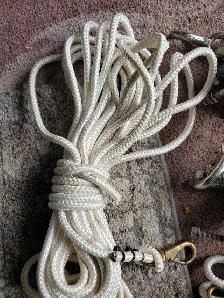 Dock Edge mooring/ dock whips - Photo 7