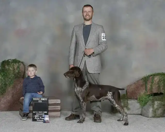 GSP Puppies CKC Registered German Shorthaired Pointers