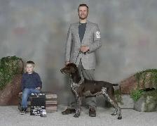 GSP Puppies CKC Registered German Shorthaired Pointers