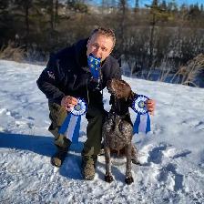 GSP Puppies CKC Registered German Shorthaired Pointers - Photo 5