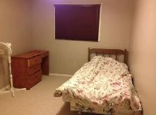 fully furnished all inclusive 2 rooms for rent - Photo 5