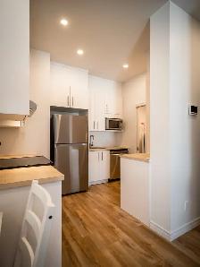 Appartement/studio meublé pour professionnel ou personne seule - Photo 2